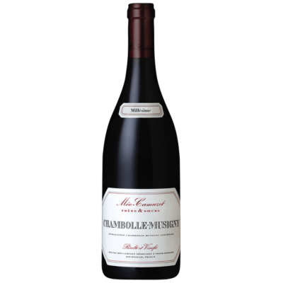 Meo Camuzet Nuits Saint Georges 1er cru Aux Argillas 2007
