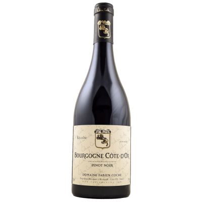 Domaine Fabien Coche Côte d'Or Pinot Noir
